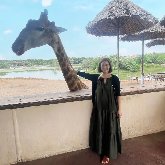 🇹🇭泰國曼谷| Safari World親子遊好去處