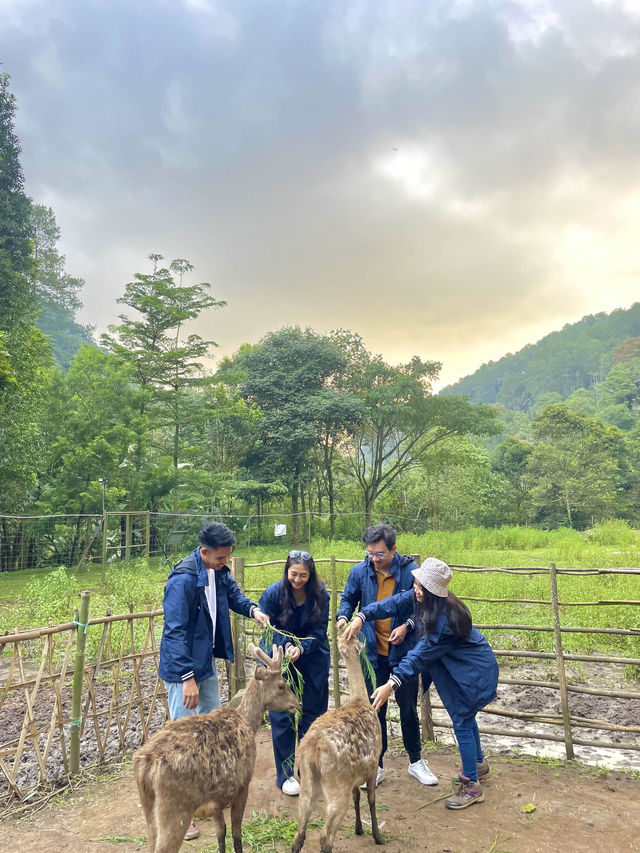 Lodge Maribaya Bandung Indonesia  