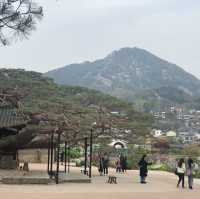 조선시대 흥선대원군의 별장, 고종의 임시거처 석파정🌸