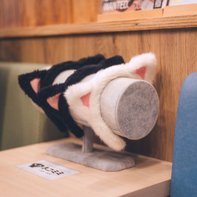 【東京】秋葉原の癒し空間🐈🐾「猫カフェ MOCHA」