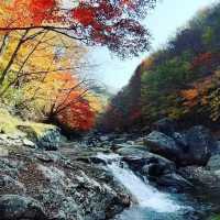 Most beautiful falling season at Bamsagol