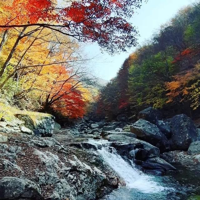 Most beautiful falling season at Bamsagol
