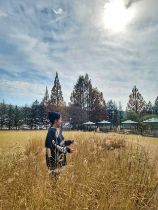 늦가을 즐기기 좋은 한국의 지베르니🍂