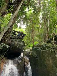 Teddu Coffee & Inn Maekampong