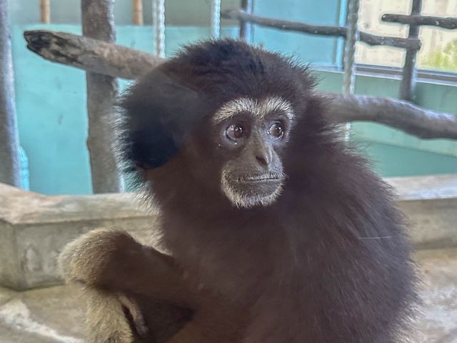 破格の600円で楽しめる動植物園！