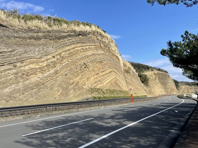 伊豆大島のバームクーヘン