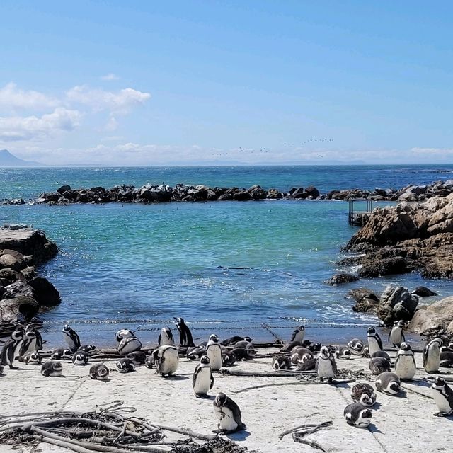 An Oasis of Ocean & Mountains 🤩