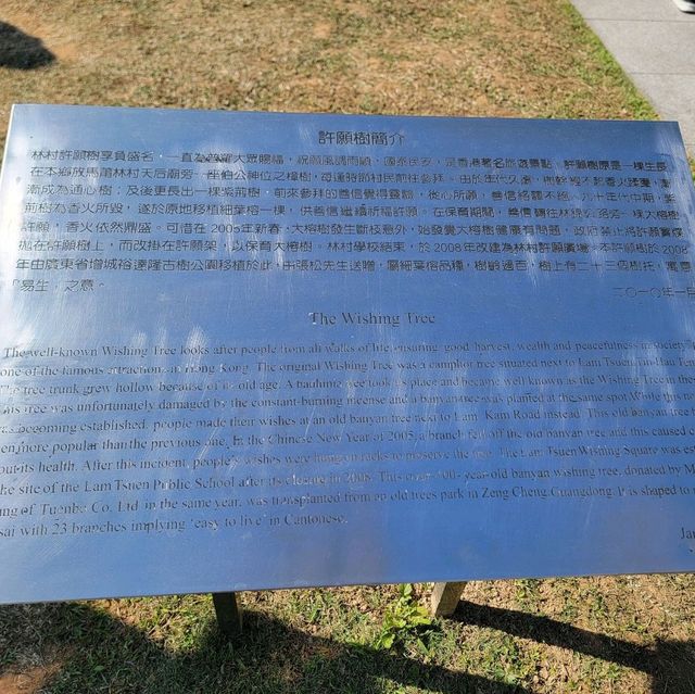 過年必到許願樹前拋寶牒🧧🎋祝大家萬事勝意🎊