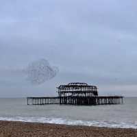 Hove Beach Huts - Brighton & Hove, UK