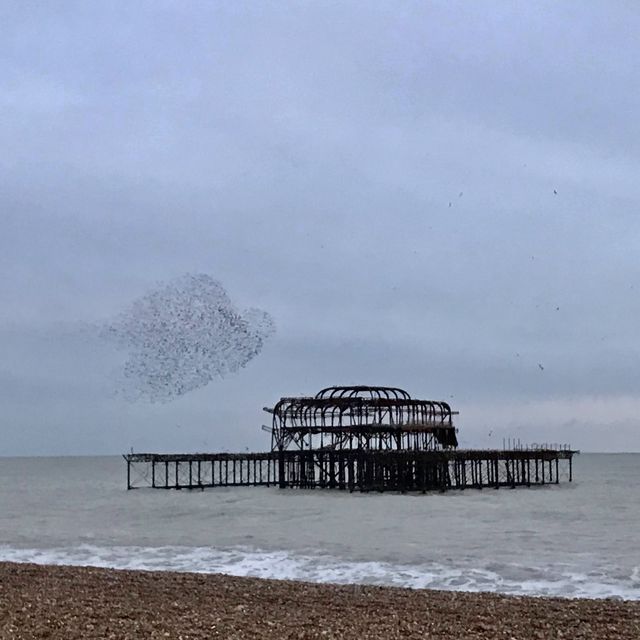Hove Beach Huts - Brighton & Hove, UK