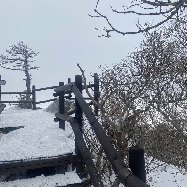 ไปเล่นหิมะกันที่ มูจู เกาหลีใต้ ! 🇰🇷🇹🇭