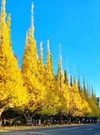 BEEN THERE, DONE THAT, AUTUMN IN JAPAN