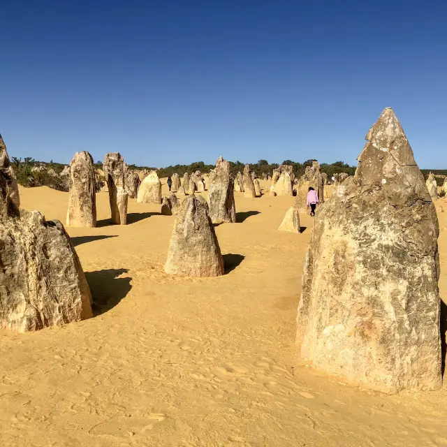 The Pinnacles Desert - Perth, Australia