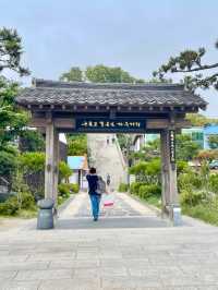 포항 구룡포 일본인가옥거리 👘