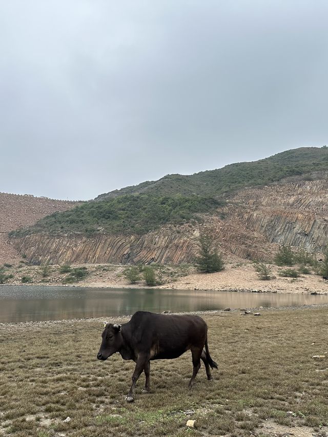 📍西貢萬宜水庫東壩