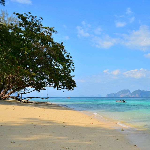 เกาะกระดาน ชายหาดที่ดีที่สุดในโลก ปี 2023 