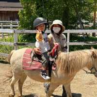 【 近距離親親小動物。神戶動物王國 】