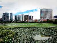氹仔生態之旅：龍環葡韻人工湖濕地