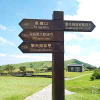 Summer Hike to Yangmingshan