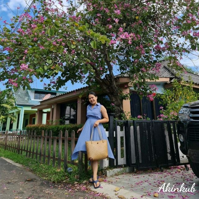 ทริประยอง ฉบับ Slow life ทริประยอง ฉบับ Slow life