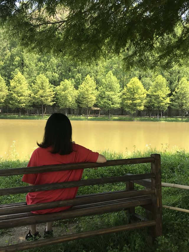 유유자적 여유가득 담양
