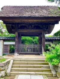 【神奈川県/極楽寺】風情ある山門に導かれる寺院