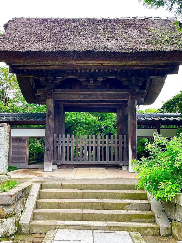 【神奈川県/極楽寺】風情ある山門に導かれる寺院