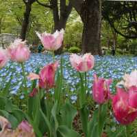 日比谷公園