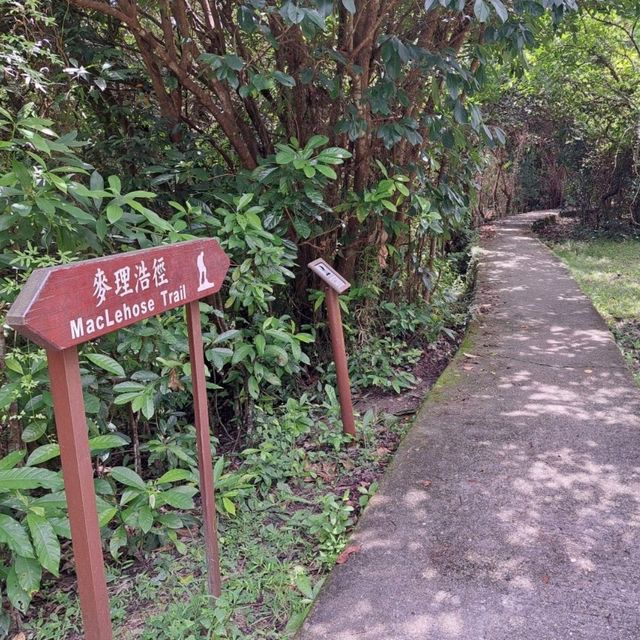 北潭凹-赤徑行山郊遊分享📸睇盡沿途山景海景🏞️