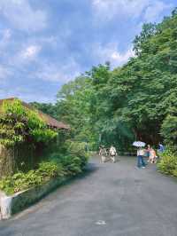 《台北》動物夏夏叫 暑假才能體驗的夜間活動-台北市立動物園