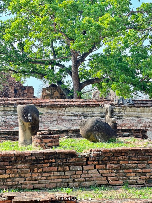 วัดมหาธาตุ อยุธยา