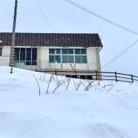廃校リノベ🏫ツギノバ
