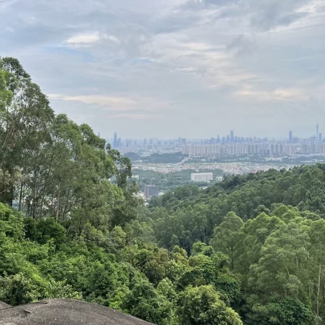 火爐山森林公園🌆大自然的悠閒遊樂場🌲🏞️🎉