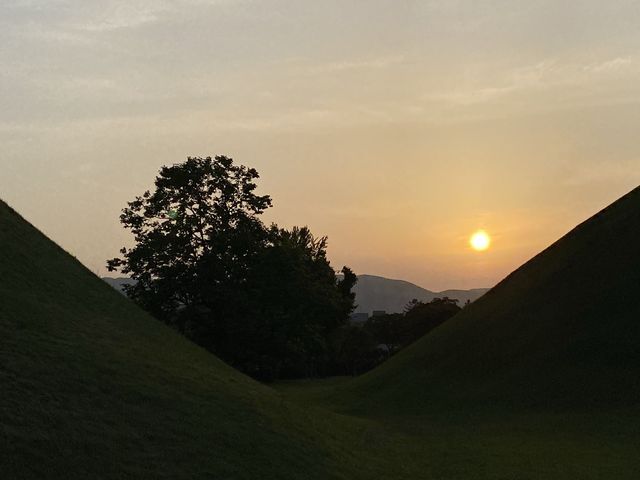 🇰🇷 경주 대릉원 나들이