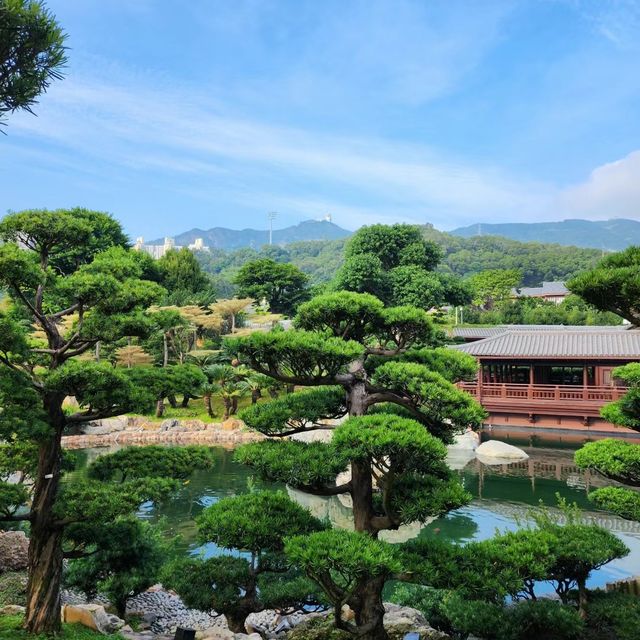 身臨其境的禪意寧靜 🏞️🧘‍♀️ 南蓮園池