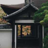 天授庵庭園～靜謐與自然🍵🌸🏯