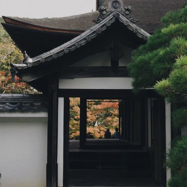 天授庵庭園～靜謐與自然🍵🌸🏯