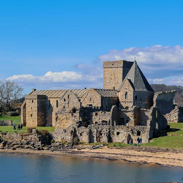 Inchcolm Island🏖️ 鳥語花香海島