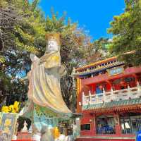 一秒穿越到宮崎駿的世界-淺水灣