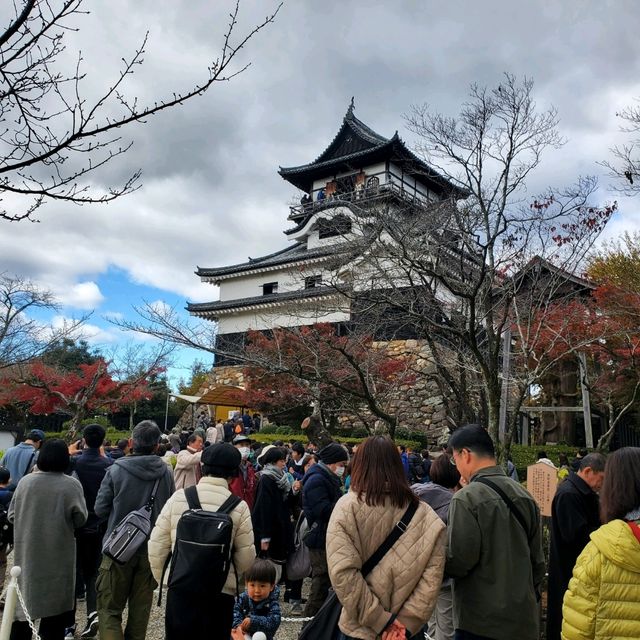 【愛知県_犬山市】日本の国宝犬山城！！