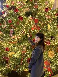커다란 크리스마스트리와 인생샷 남길 수 있는 곳🎄✨