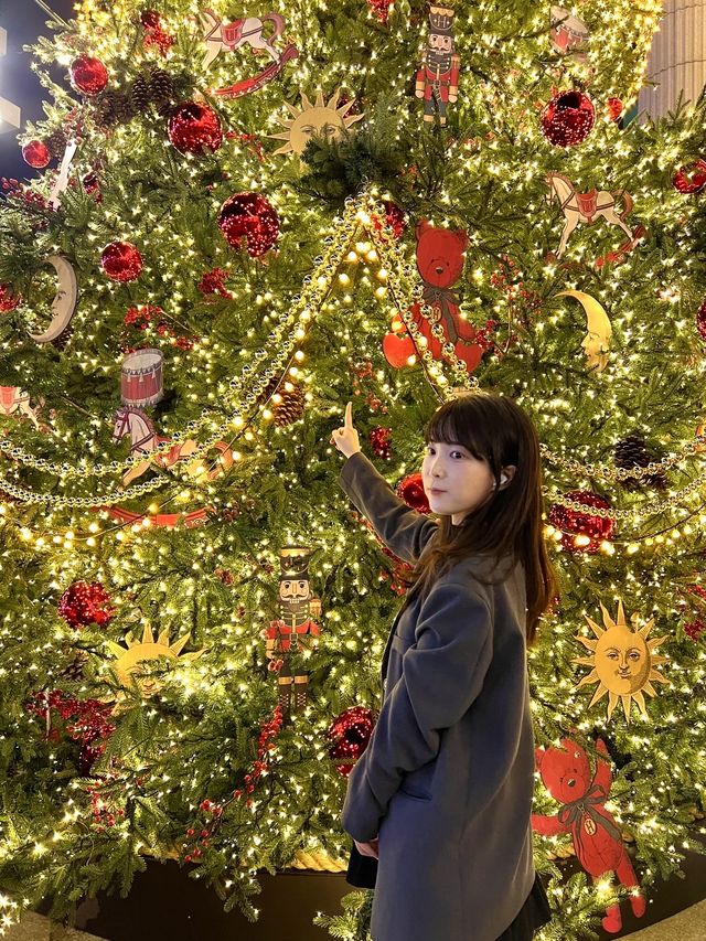 커다란 크리스마스트리와 인생샷 남길 수 있는 곳🎄✨