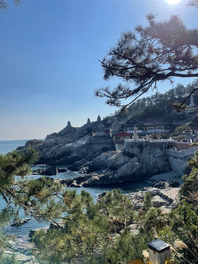 바다에서 가장 가까운 사찰 부산에 있어요 🌊해동용궁사💛