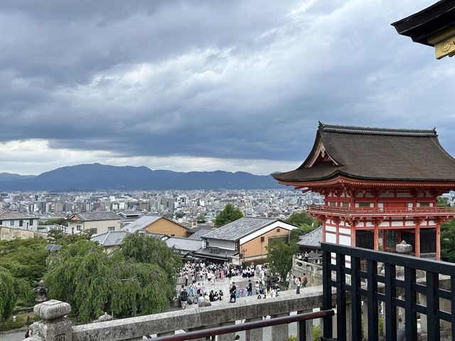 🌳교토가 한 눈에 보이는 신사, 기요미즈테라 ⛩️