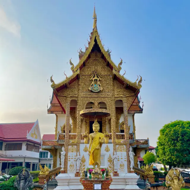 Serene Splendor: Wat Buppharam Chronicles