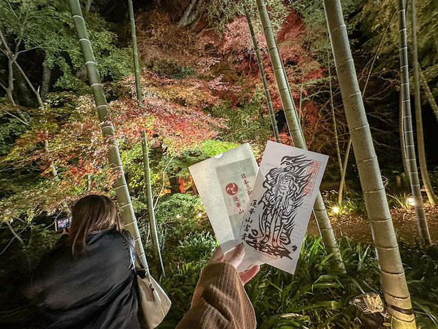 紅葉のライトアップ🍁