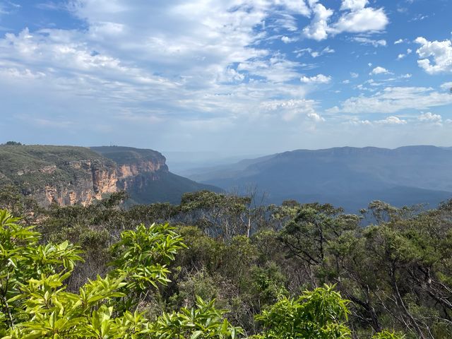 Amazing 2023 at Sydney Blue Mountains 