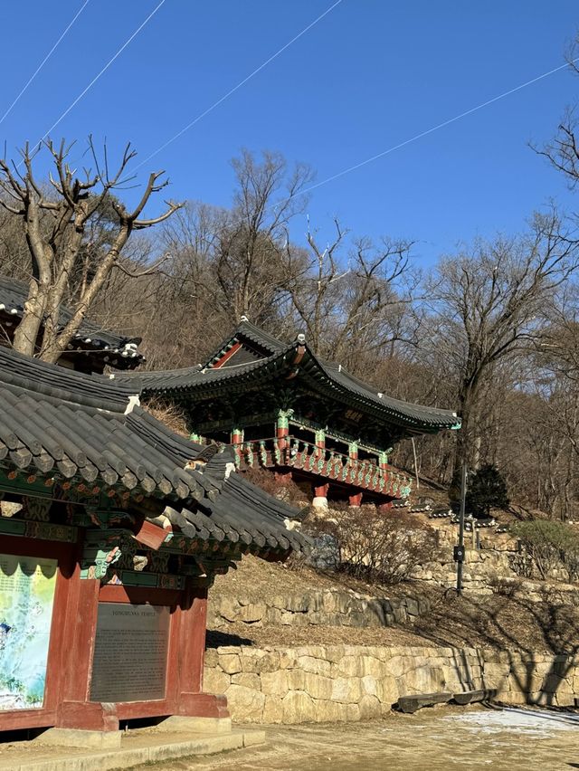 국내여행 추천지! 양평 “용문사”, “두물머리”