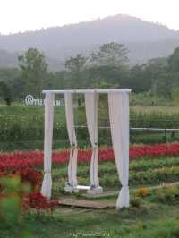 Bliss & Bloom Cafe ทับลาน