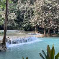 Christmas Magic in Luang Prabang 